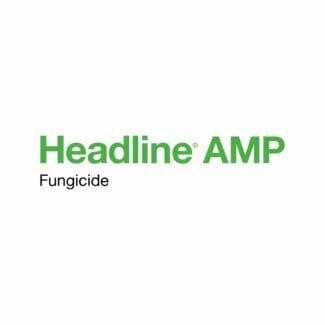 Headline Amp