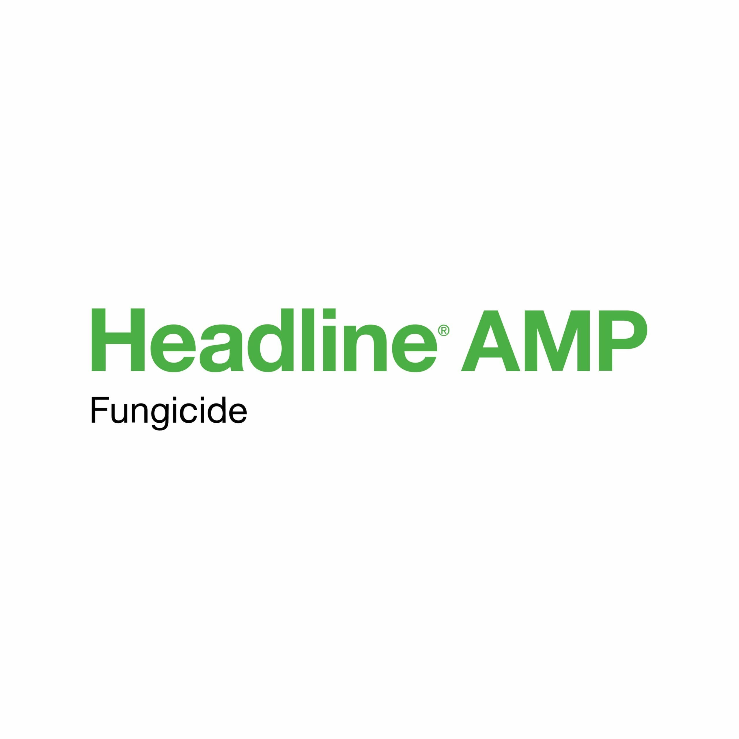 Headline Amp