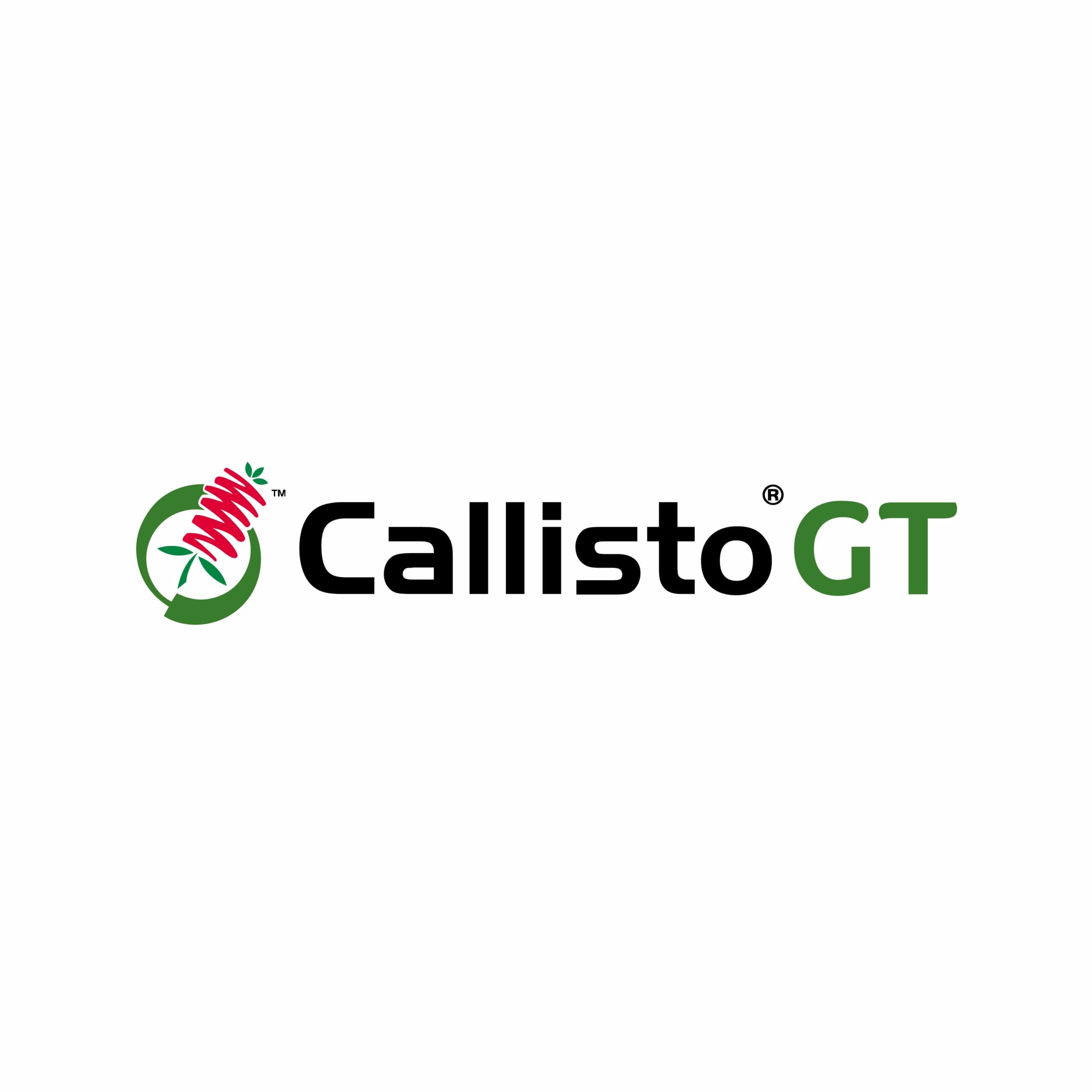 Callisto GT