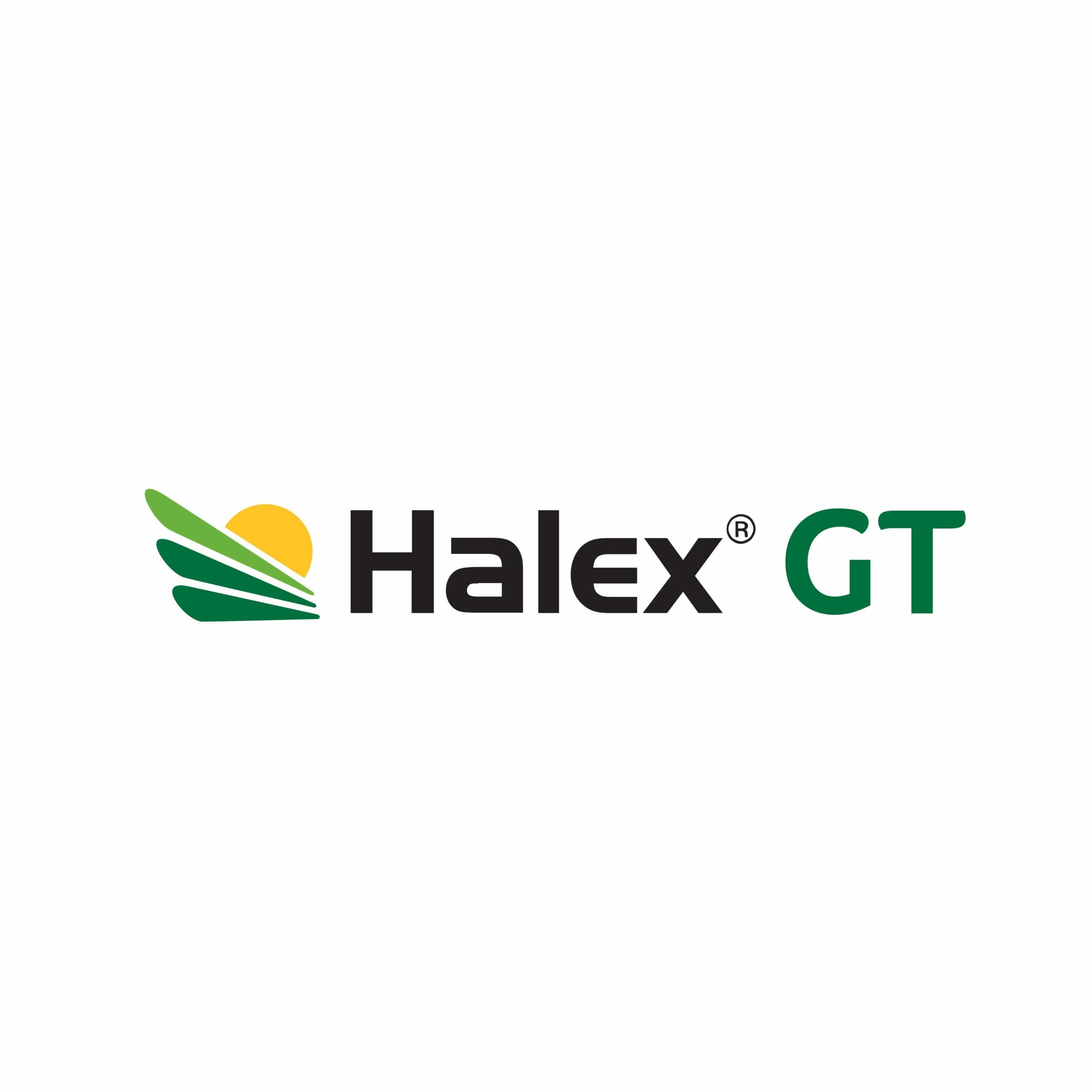 Halex GT