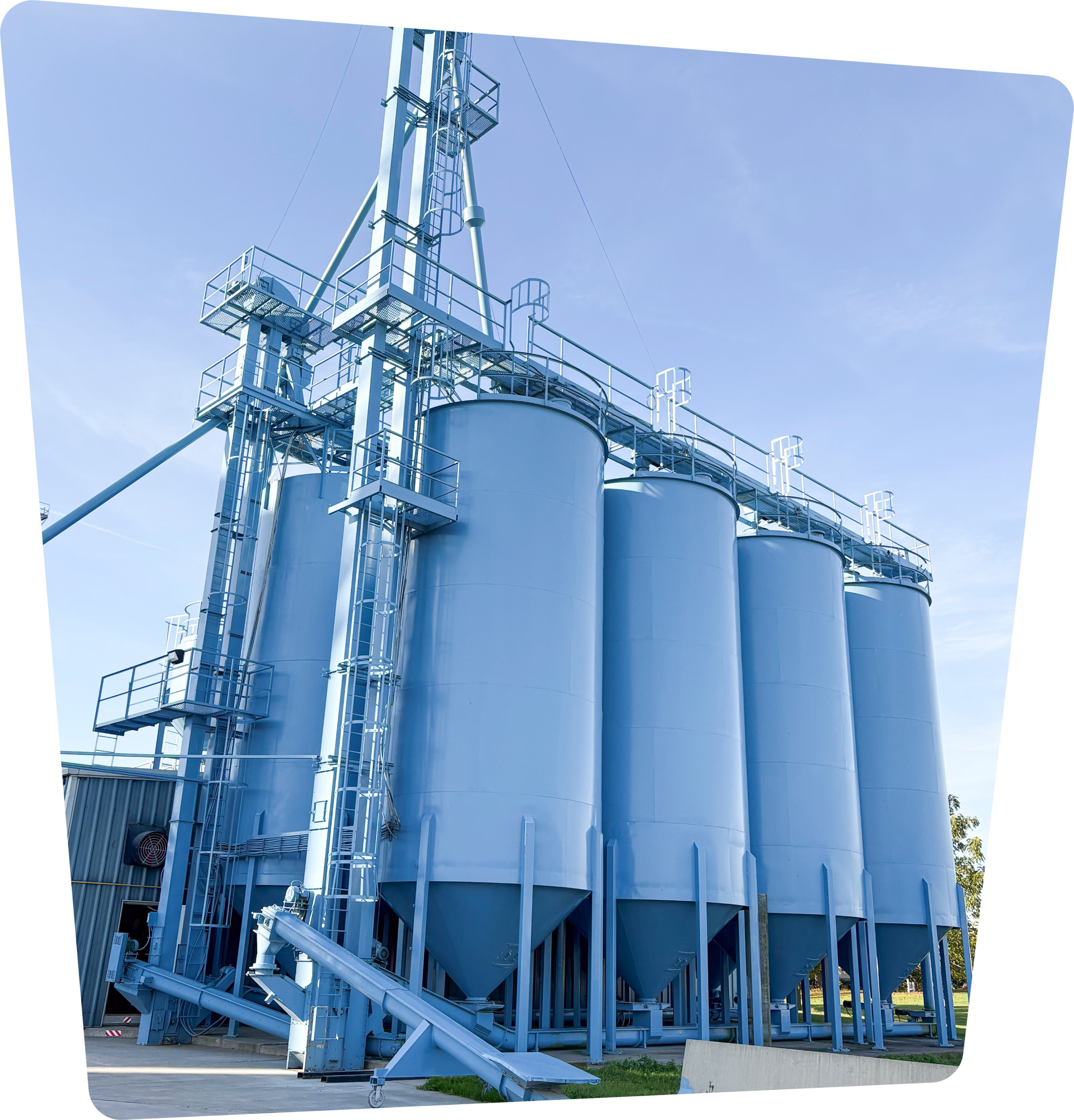 Large blue grain storage silos and elevator system under clear sky.